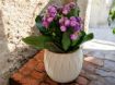 3D Printed Flower Pot