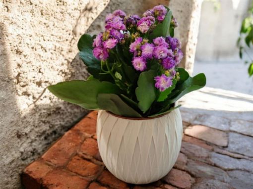 3D Printed Flower Pot