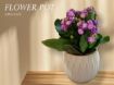 3D Printed Flower Pot