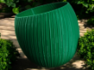 Picture of Flower Pot