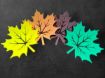Leaf Coasters – Unique Botanical Drink Coasters Set